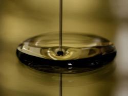 ���� �������� ������� ���� ����� ����������