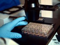 �������� ������������ � ������� ������ ������ ���� � ����� �������