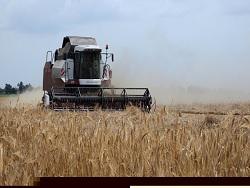 ��������� ������ ����� ������� 15 ���� ������ � ������������ � ����������