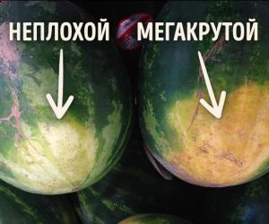 ��� ��������� ������� �����: ������ ��������