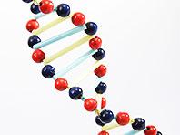 ������������ ��� ������� ��������� ��������� �� �������� ��������