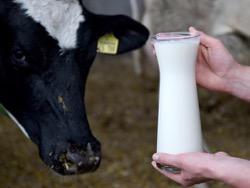 ������ ����� ��������� � �������� �����