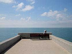 ������ ���� ��������� �� �� �������