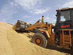 ������������� ������ �������� �����������