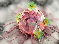 ����-�������� ��������� ��������� ���� ����������� ����