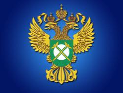 ��� ������ ����� �������� �� ������������ ��������