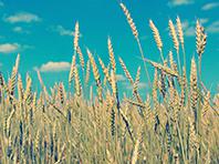 ���������� �������� �� ������, ��� ��� ����� ��� ������, ������������� �����