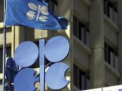 ������ �� ����� ����� ���� ��������� �������?