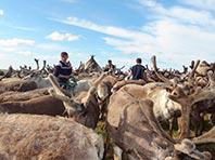 ��������� ���� � �� ������ ������� ������� � �����-�������� ���������� ������