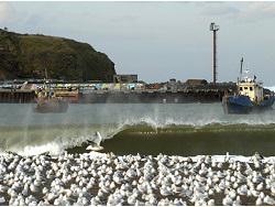 �������� ��������: ��� ������ � ����� ������� ������