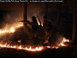 ��� ��� ����� �� ������. ����� � ���������