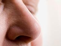 � ���� �������� ����� ����� ��������� ������ ������� ��������, ������� �������