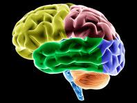 ������ ������, ��� ������������ ������������ ������� ����� ����������� �����