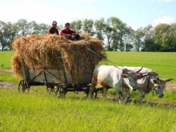 ������� �� �������������� ������ ������� ������������ � ��������� ����������