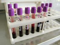 ����� ������ ����� �������� ��������� �������� �� ��� ����� ���������