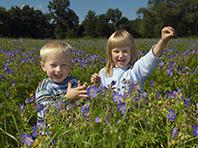 ����������� ��������� ������� � ������� ������� �� ����, ������� �� � ��� ������ � ������