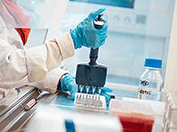 ������ � ����������� ����� �������� ����� �� ����� �������