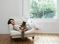 �������� ����� ������� � �����������, �������� ������������