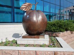 ������� ��������� ��� ������� ����������� ���������� � �������� ���� �� ������ ������