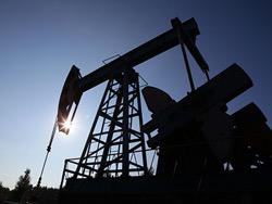 ��� �������� ������� �������� ������ �� ����� � 2017 ����