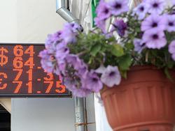 ���� ������ �������� ������ � 65 ������