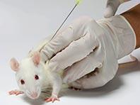 �������������� �������� � ������ �������, �������������� ��������