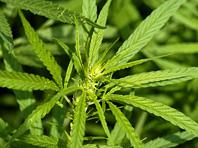 ��� �� ��������� ��������� ������������ ��������� � ������