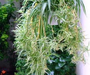 �������� ��������, ������� ������ �� �������� � ������