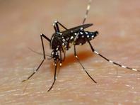 ��� ����� ������� ������ ������ ���������, ������������� �����