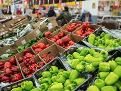 ���������������� ������ ������� ������ ������� � ������