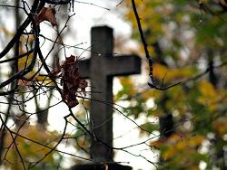 ������ CIT ���������� � ����������� ������� ���������� ������� � �����