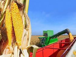 ������� �������� �� ������� ��� ������� � ������� ����� ������� ��������