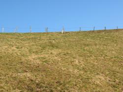 ���������� ������������ ������������� ���������� ����� �� �� ������� ����� � �����������