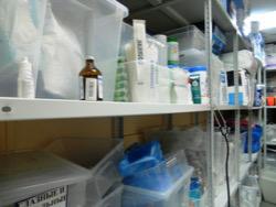 ���: � ������ �������� ���� �� ��������� � 160 ���