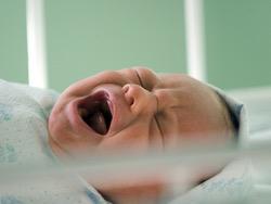 ������������� ����������� ����������� � ����