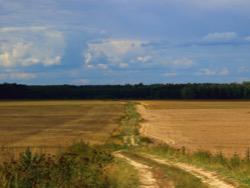 ����� ����� ��� �� ������� �������� ��������� ��������������� ����������� �� ������