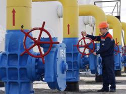 ������������ ������ �������� ��������