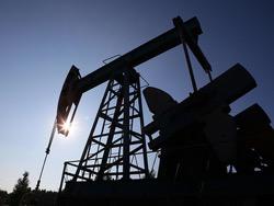 ������ �������� �������� ��� �� ����� �� 30 ��������