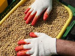 ����� ������ 750 ��������� �������� � ������������ ��� �� ������� �������