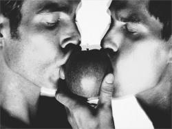 ������������ ���� ���������