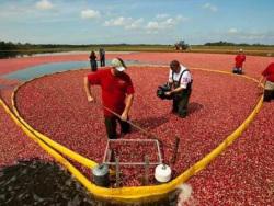 ������� ����������� ��������: ��������� ��������� �������� ������ � ��������