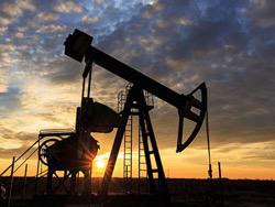 ������� ������� ����������� ����� �� 100 �������� � 2024 ����