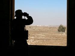 ��� ������������ ��������� ��������� � ������������ ������������� �����������