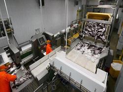 ����� ������� � ��������� ������ ������� ������ ������ � ���������