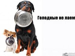 �������� ������. ������� � ������� ������ �������