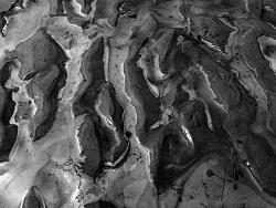 ������ �������� ��������� ���������� � ������������ ����� ����� �� ���