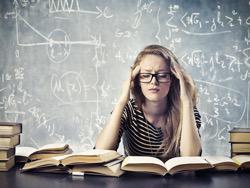   7    IQ