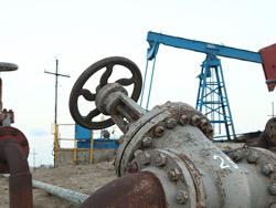 ���������� ������ ������� � ���������� ����������� �� 5%