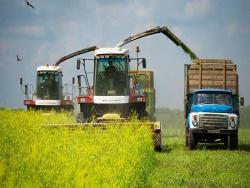 �� ��� � ������� ������� �� �������� �������