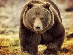 ������� ������� ������� ��������� ��������